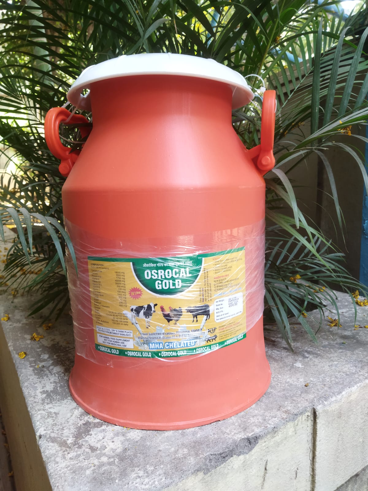 WhatsApp Image 2025-06-30 at 4.42.14 PM.jpeg